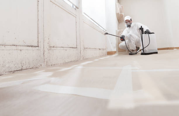 24/7 Emergency Mold Removal experts in Jamestown, TN